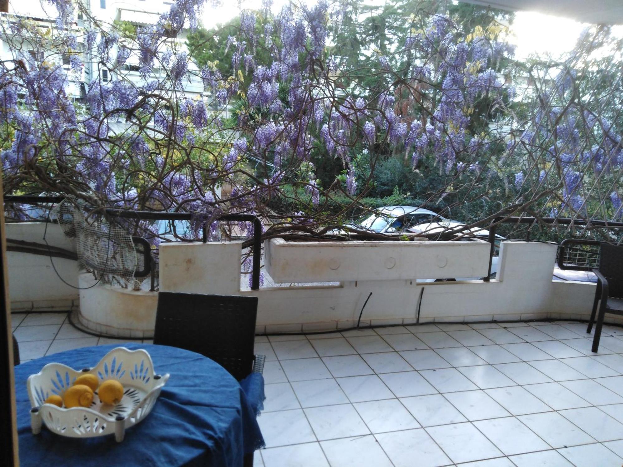 Filyra Homestay Athene Kamer foto